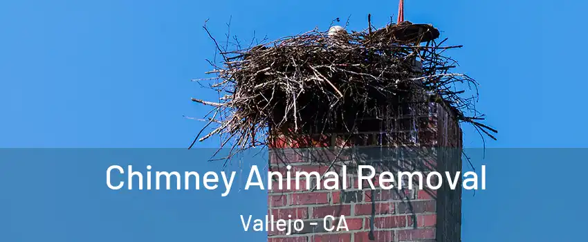 Chimney Animal Removal Vallejo - CA