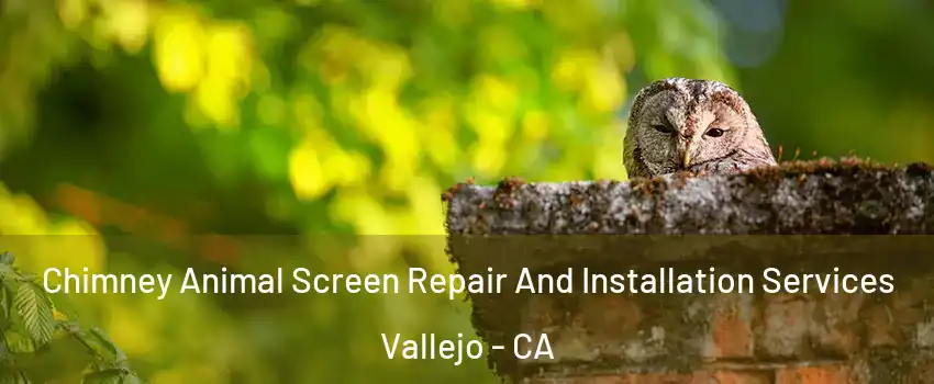 Chimney Animal Screen Repair And Installation Services Vallejo - CA