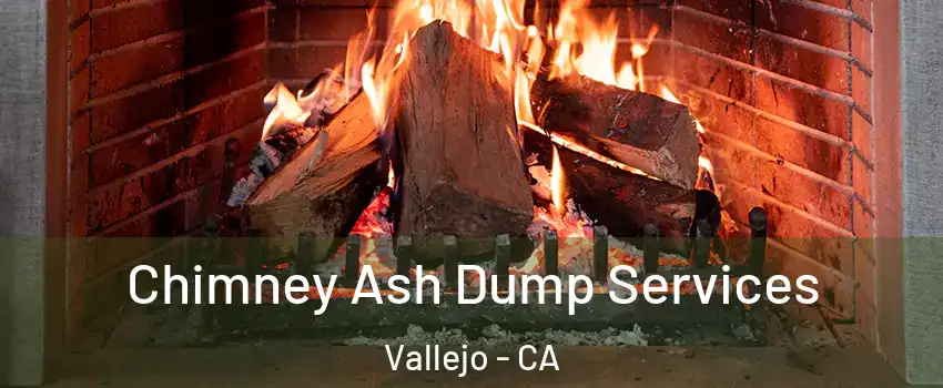 Chimney Ash Dump Services Vallejo - CA
