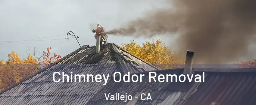 Chimney Odor Removal Vallejo - CA
