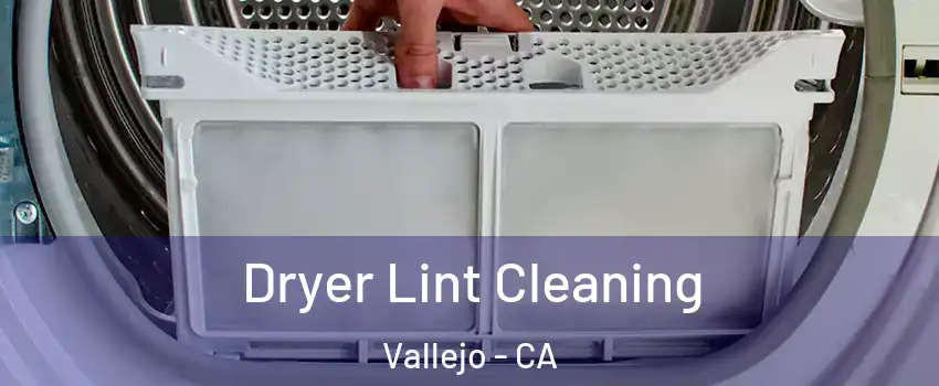 Dryer Lint Cleaning Vallejo - CA