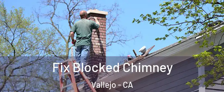 Fix Blocked Chimney Vallejo - CA