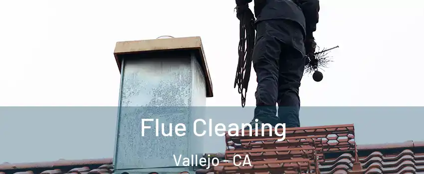 Flue Cleaning Vallejo - CA
