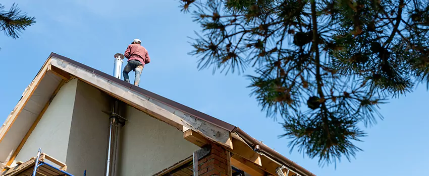 Birds Removal Contractors from Chimney in Vallejo, CA