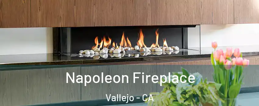 Napoleon Fireplace Vallejo - CA
